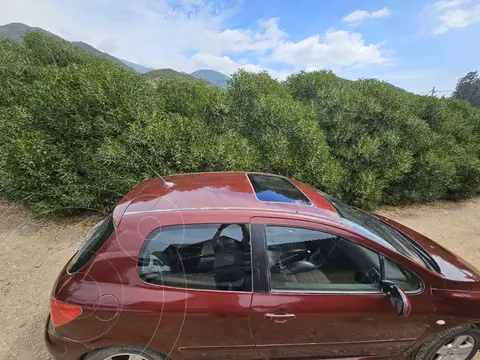 Peugeot 307  XSI usado (2005) color Bordo precio $3.500.000